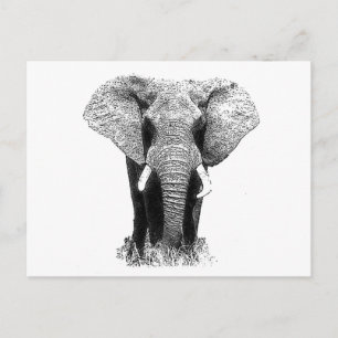 Schwarz-Weiß-Elefant Postkarte