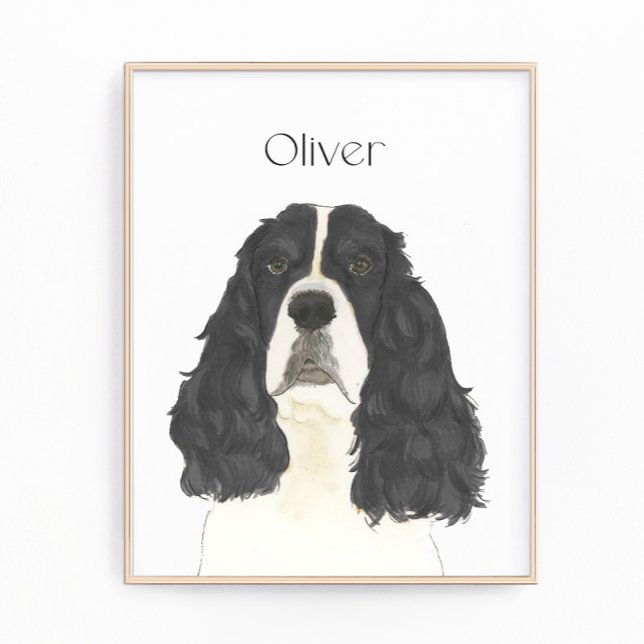 Schwarz-Weiß-Englisch Springer Spanisch Art Fotodruck (Von Creator hochgeladen)