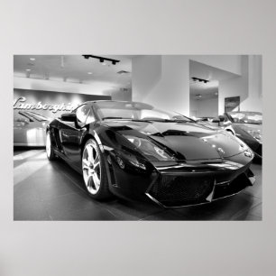 Schwarz-Weiß-Fahrt Poster