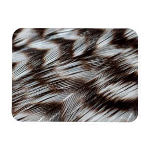 Schwarz-Weiß-Federn im Detail Magnet