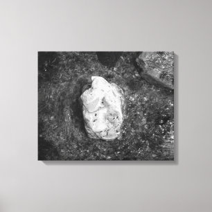 Schwarz-Weiß-Felsen im Wasser 16x20 Leinwanddruck
