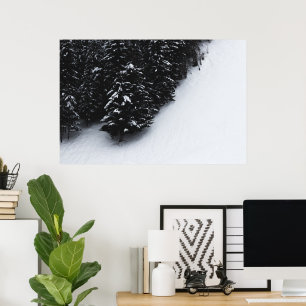 Schwarz-Weiß-Fichtenwald und Schnee Poster