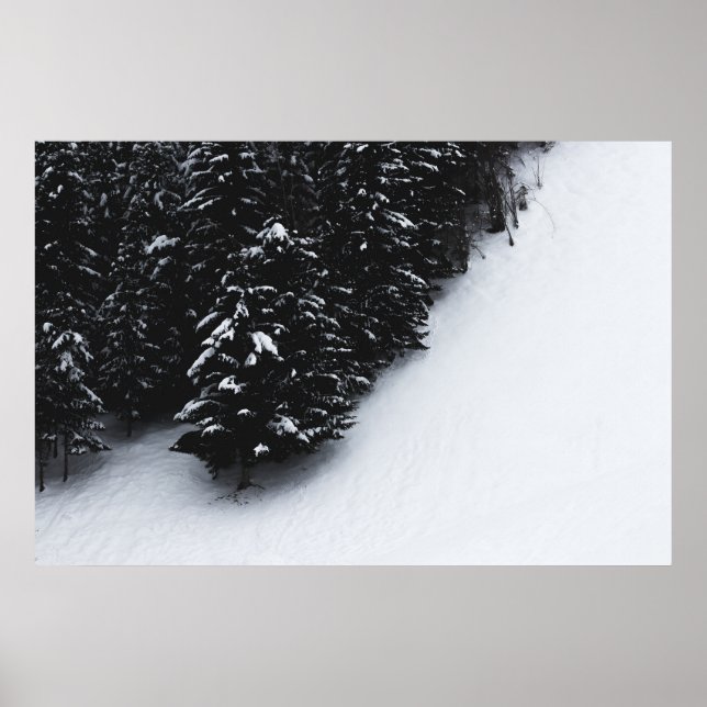 Schwarz-Weiß-Fichtenwald und Schnee Poster (Vorne)