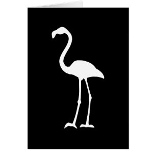 Schwarz-Weiß-Flamingo
