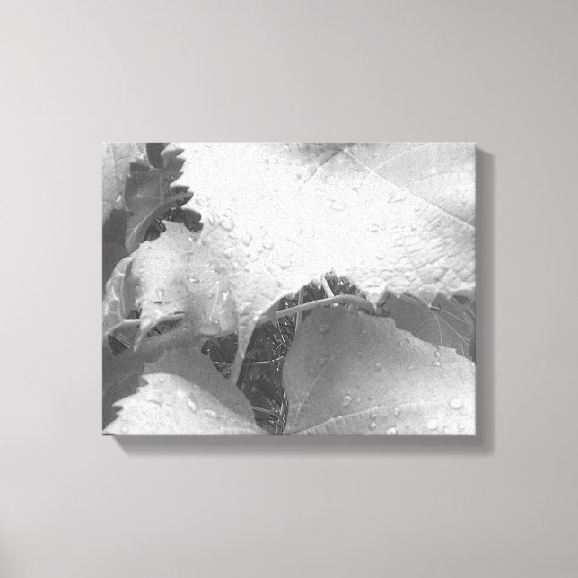 Schwarz-Weiß-Foto der Blätter "Nasse und Zauber" Leinwanddruck (Vorderseite)