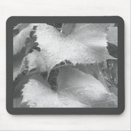 Schwarz-Weiß-Foto der Blätter "Nasse und Zauber" Mousepad