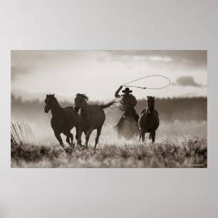 Schwarz-Weiß-Foto eines Cowboy Lassoing Horses Poster