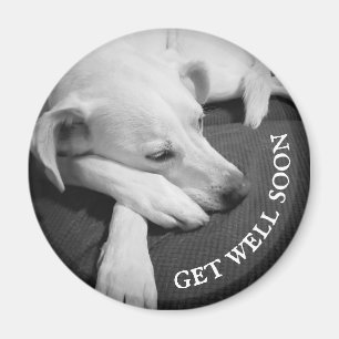 Schwarz-Weiß-Foto eines wunderschönen Hundeschlafe Magnet