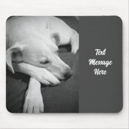 Schwarz-Weiß-Foto eines wunderschönen Hundeschlafe Mousepad