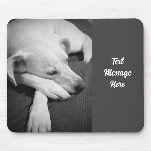 Schwarz-Weiß-Foto eines wunderschönen Hundeschlafe Mousepad (Vorne)