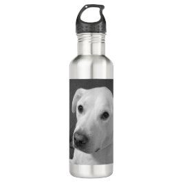 Schwarz-Weiß-Foto eines wunderschönen, seelenvolle Edelstahlflasche