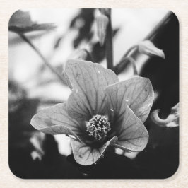 Schwarz-Weiß-Fotografie Rechteckiger Pappuntersetzer