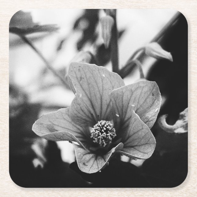 Schwarz-Weiß-Fotografie Rechteckiger Pappuntersetzer (Vorderseite)