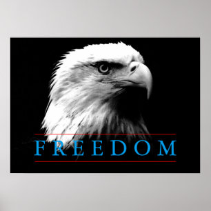 Schwarz-weiß Freedom American Eagle Poster