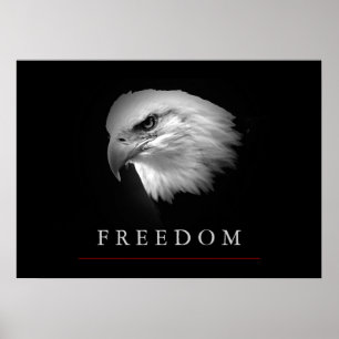 Schwarz-weiß Freedom Eagle Face Poster