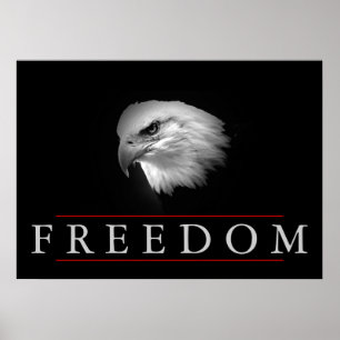 Schwarz-weiß Freedom Fearless Eagle Poster