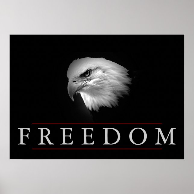 Schwarz-weiß Freedom Fearless Eagle Poster (Vorne)