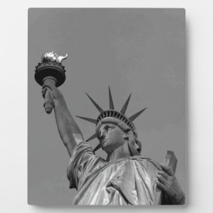 Schwarz-Weiß-Freiheitsstatue New York Fotoplatte