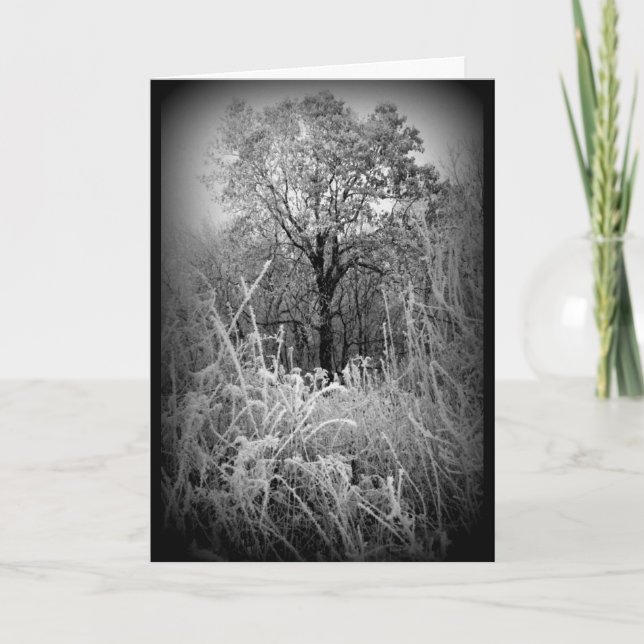 Schwarz-Weiß-Frost-Winter-Jeder Anlass Karte (Vorderseite)