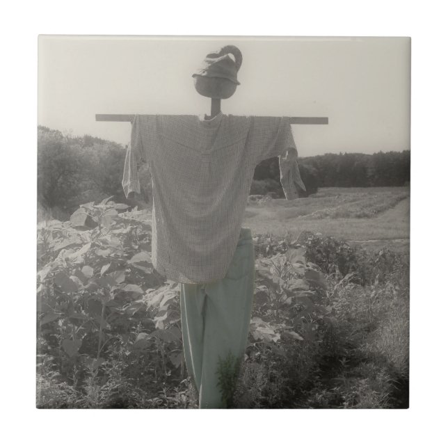 Schwarz-Weiß-Gartenschmuck Fliese (Vorderseite)