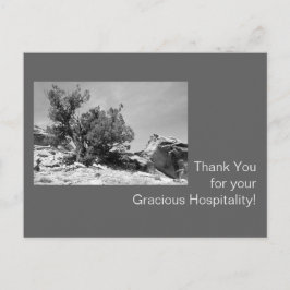 Schwarz-Weiß-Gastfreundschaft Vielen Dank Postkarte