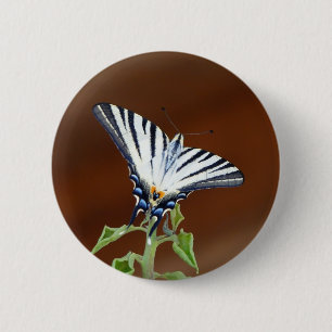 Schwarz-weiß gestreifter Fächerschwanz Schmetterli Button