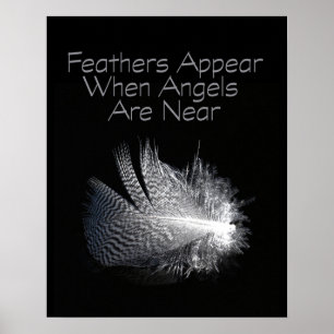 Schwarz-weiß gestreiftere Feder, die auf einem Tei Poster