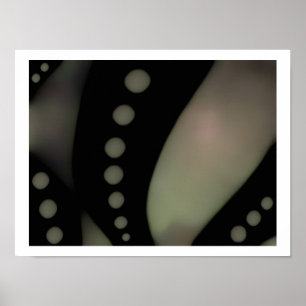 Schwarz/Weiß glatt ~ Print/Poster Poster