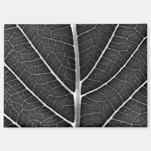 Schwarz-weiß glühendes Blatt Nahaufnahme Magnet