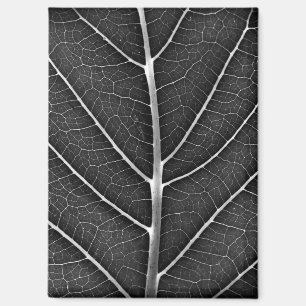 Schwarz-weiß glühendes Blatt Nahaufnahme Magnet