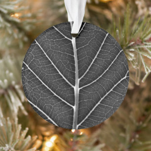 Schwarz-weiß glühendes Blatt Nahaufnahme Ornament