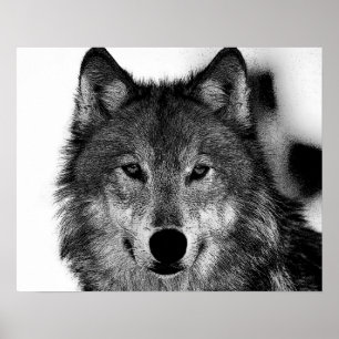 Schwarz-Weiß-Grau-Wolf-Kunstwerk Poster
