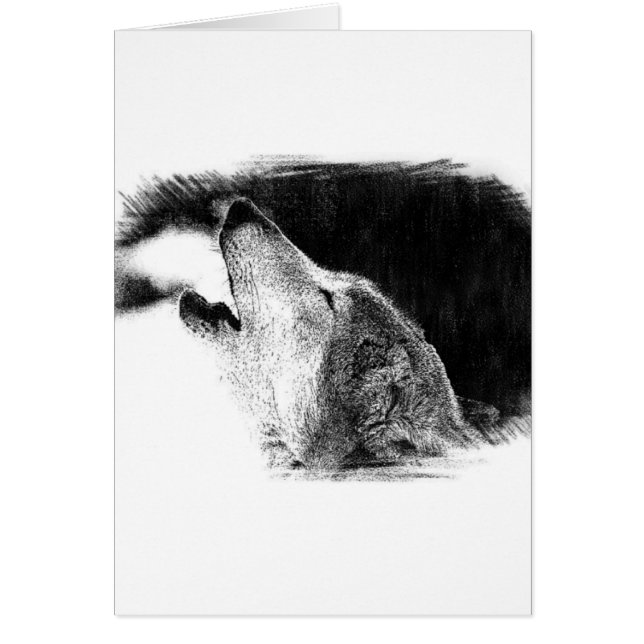 Schwarz-Weiß-Grau-Wolf-Sketch (Vorne)