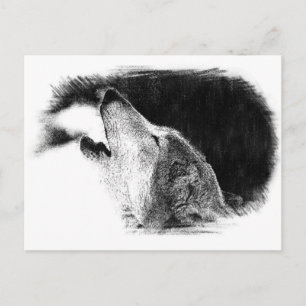 Schwarz-Weiß-Grau-Wolf-Sketch Postkarte