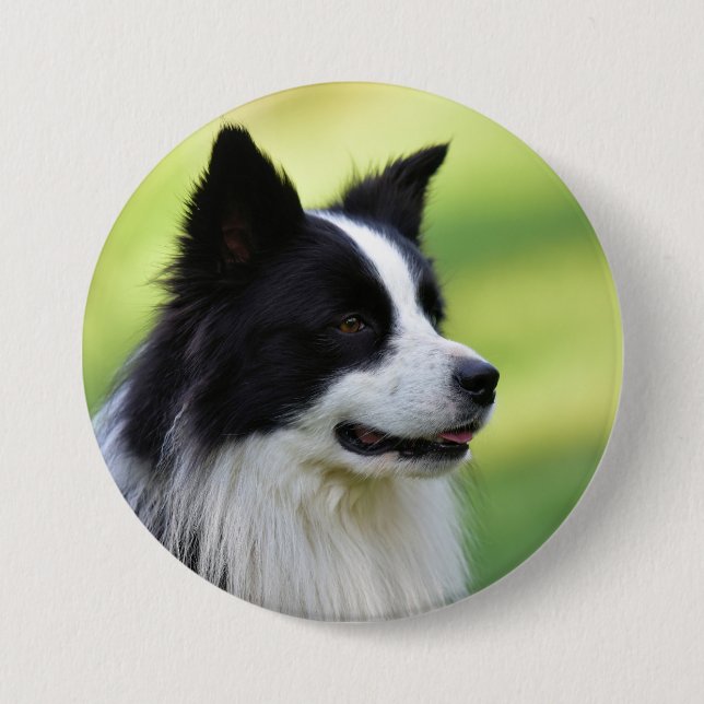Schwarz-Weiß-Grenz-Hund Button (Vorderseite)