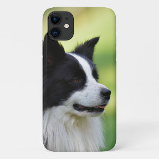Schwarz-Weiß-Grenz-Hund Case-Mate iPhone Hülle