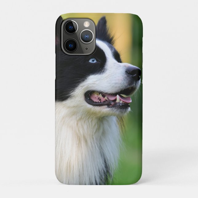 Schwarz-Weiß-Grenz-Hund Case-Mate iPhone Hülle (Rückseite)