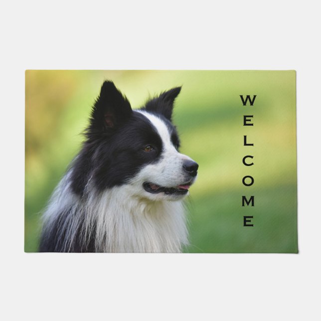 Schwarz-Weiß-Grenz-Hund Fußmatte (Vorderseite)
