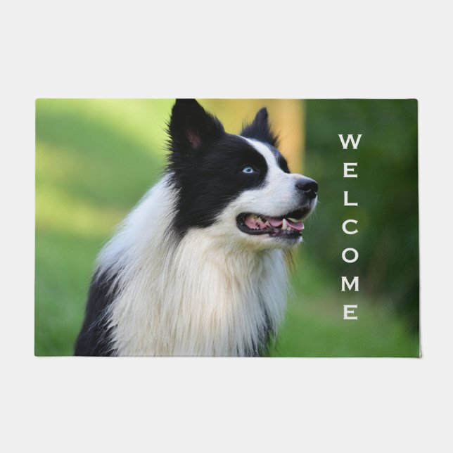 Schwarz-Weiß-Grenz-Hund Fußmatte (Vorderseite)