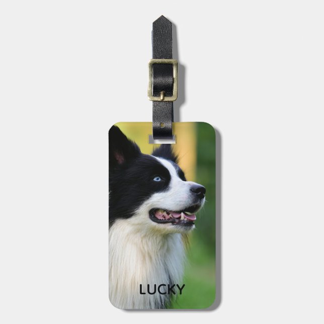 Schwarz-Weiß-Grenz-Hund Gepäckanhänger (Vorderseite vertikal)