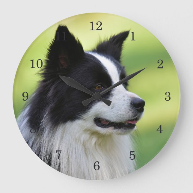 Schwarz-Weiß-Grenz-Hund Große Wanduhr (Vorderseite)
