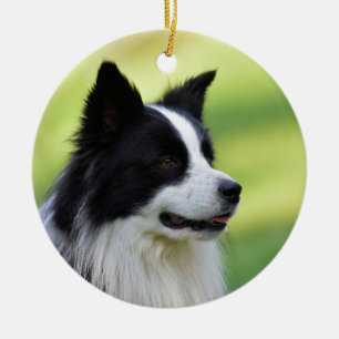 Schwarz-Weiß-Grenz-Hund Keramik Ornament