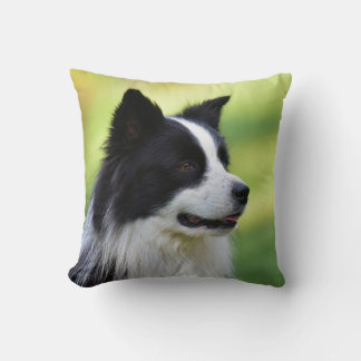 Schwarz-Weiß-Grenz-Hund Kissen
