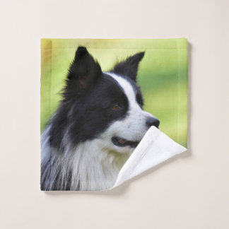 Schwarz-Weiß-Grenz-Hund Waschlappen