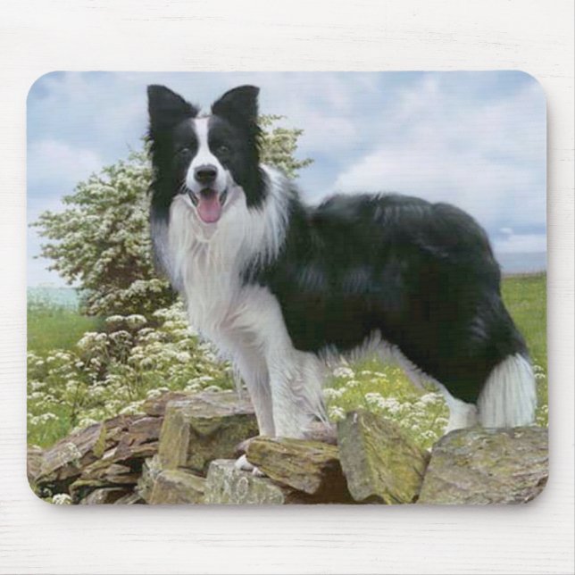 Schwarz-Weiß-Grenzkollie Welpe-Hund-Mousepad Mousepad (Vorne)
