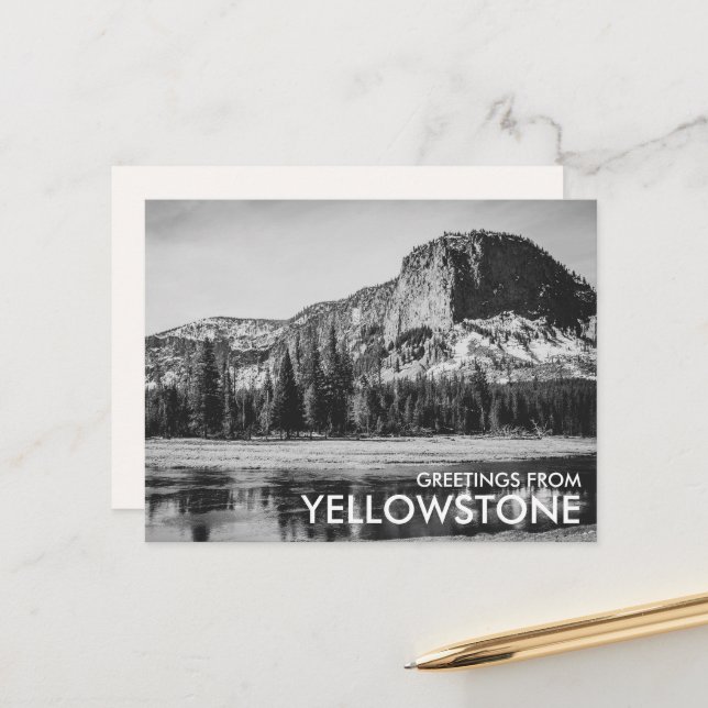 Schwarz-Weiß-Grüße aus Yellowstone Postkarte (Vorderseite/Rückseite Beispiel)