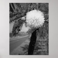 Schwarz-Weiß-Hawaiianische Blume Poster