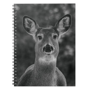 Schwarz-Weiß-Hirschgesicht Notizblock