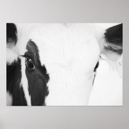 Schwarz-Weiß-Holstein-Kuh-Augen Poster