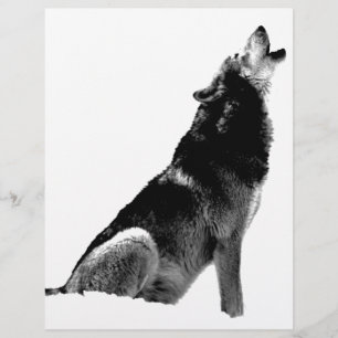 Schwarz-weiß Howling Wolf